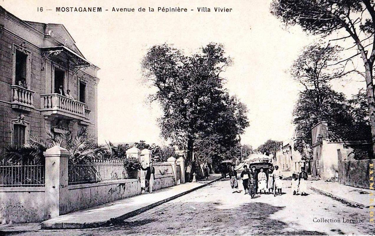 2370- Mostaganem - Avenue de la Pepiniere - Villa Vivier.jpg